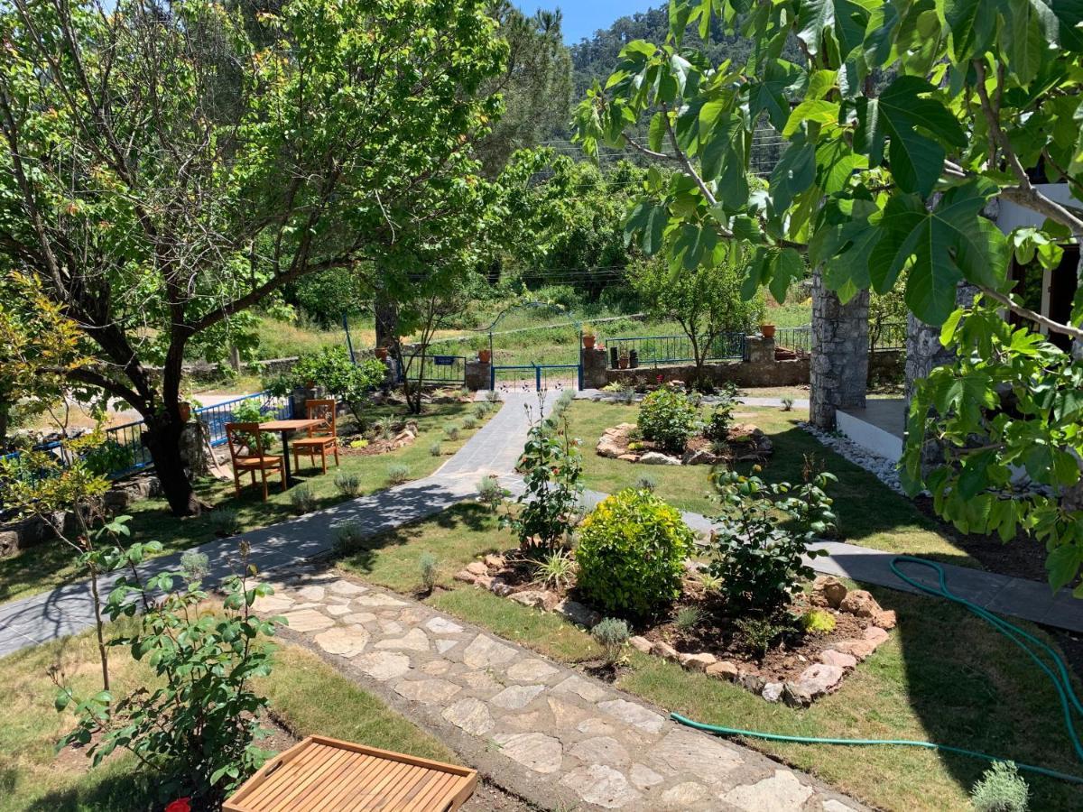Alp Inn Villas Turunç Extérieur photo